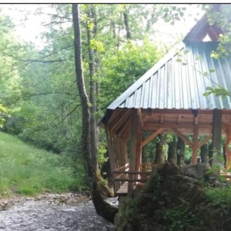 Eco Camp Dzogaska Vrela Hotel Pljevlja Kültér fotó