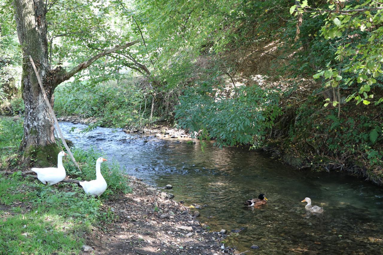 Eco Camp Dzogaska Vrela Hotel Pljevlja Kültér fotó