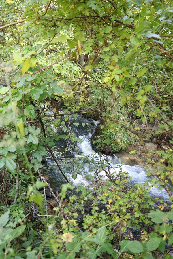 Eco Camp Dzogaska Vrela Hotel Pljevlja Kültér fotó