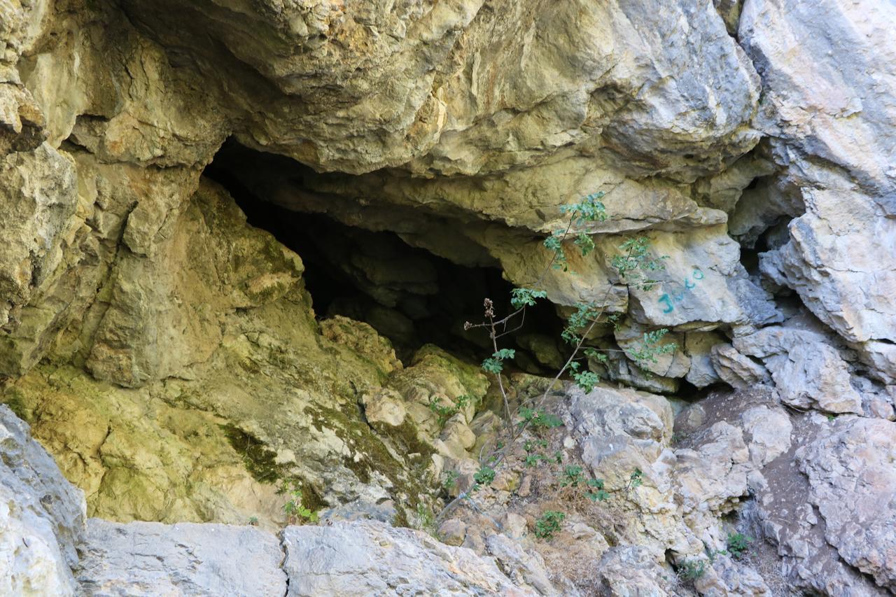 Eco Camp Dzogaska Vrela Hotel Pljevlja Kültér fotó
