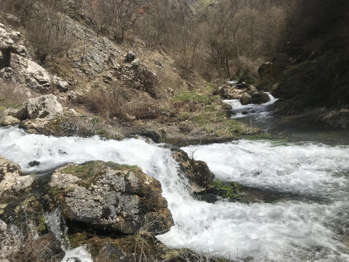 Eco Camp Dzogaska Vrela Hotel Pljevlja Kültér fotó