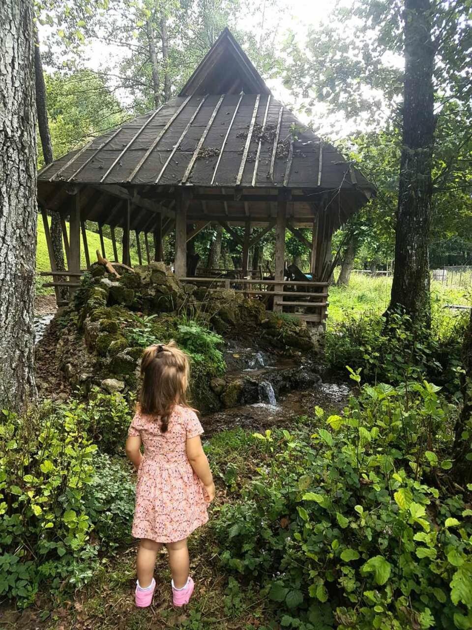 Eco Camp Dzogaska Vrela Hotel Pljevlja Kültér fotó